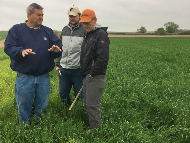 Wheat Quality Council executive vice president Dave Green educates two crop scouts, one a state bureaucrat, the other a lawyer -- on wheat production on this year&#039;s Hard Red Winter wheat tour. (DTN photo by Emily Unglesbee)